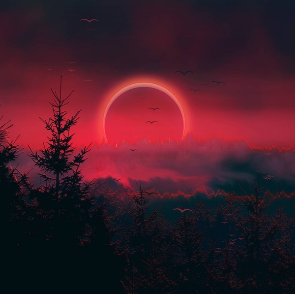 Meet your Posher, Karen - Picture 1 of 1